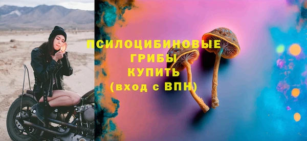 эйфоретик Алзамай
