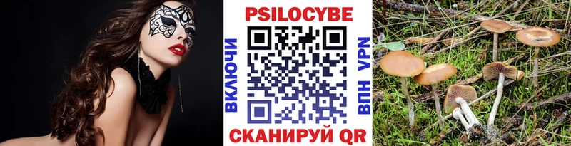 Псилоцибиновые грибы ЛСД сколько стоит Злынка