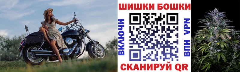 ссылка на мегу ТОР  маркетплейс наркотические препараты  Бошки Шишки THC 21%  наркота  Злынка 